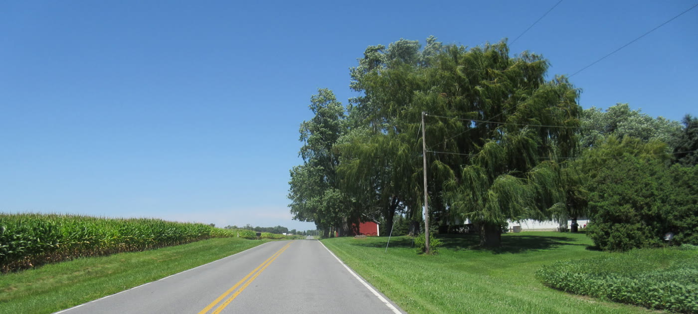 Two-lane country road through farmland in eastern North Carolina